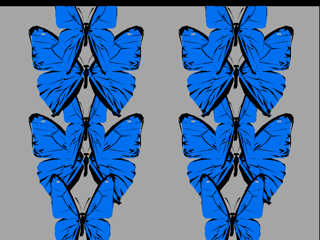 butfly.nap rendered