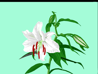 lily.nap rendered