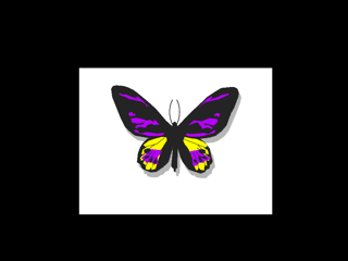 buterfly.nap rendered